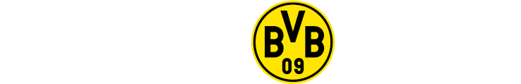 ROSIER BVB-Ansprechpartner Logo 